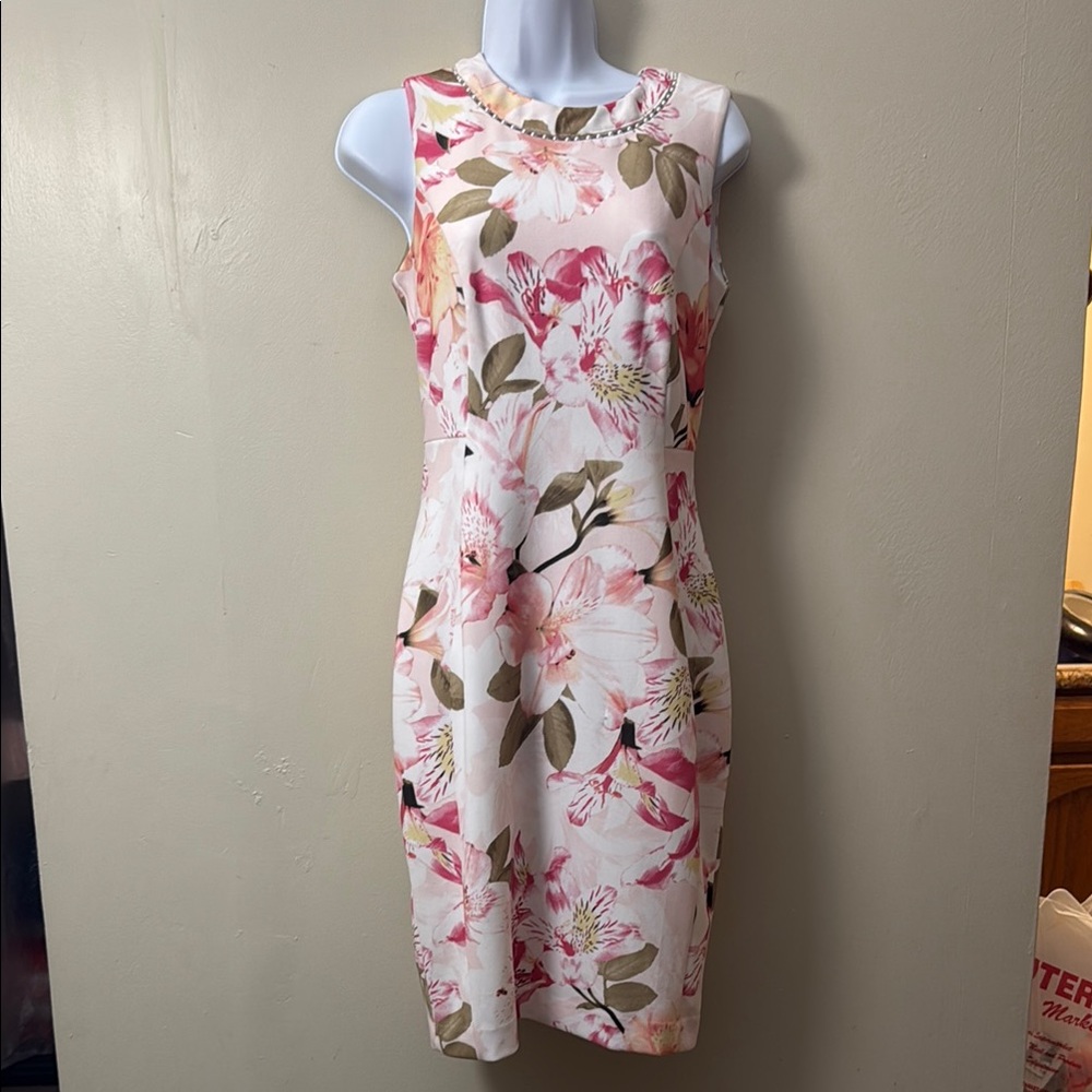 Calvin Klein Collection Pink Sleeveless Sheath Dress